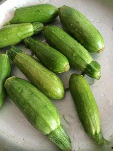 迷你小蜜瓜怎么吃,迷你小蜜瓜的多样食用攻略