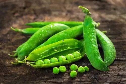 盘点那些吃瓜得瓜种瓜得豆的人,吃瓜得瓜，种瓜得豆的人生哲理