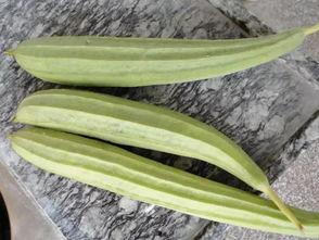 百凤山吃瓜,一场别开生面的吃瓜盛宴