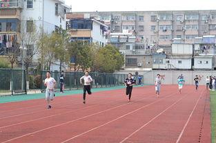 盐城技师操场吃瓜,校园生活新奇趣闻