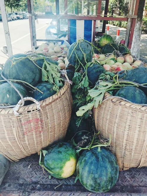 请大家吃瓜后续,揭秘“请大家吃瓜”背后的故事与影响