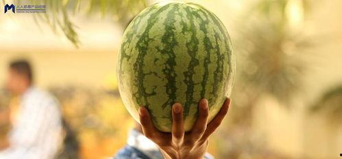 网暴吃瓜事件,揭秘吃瓜群众的盲目与伤害