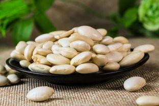 吃瓜白芸豆,神奇减肥食品背后的真相